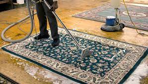 Professional Rug Cleaning