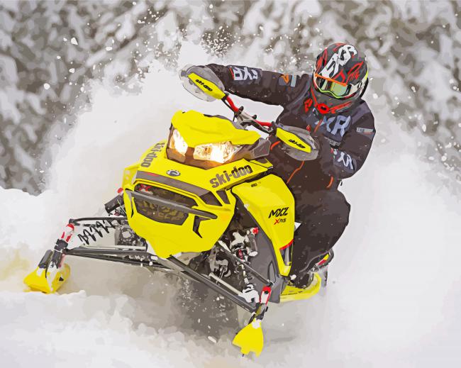 snowmobile riding for beginners